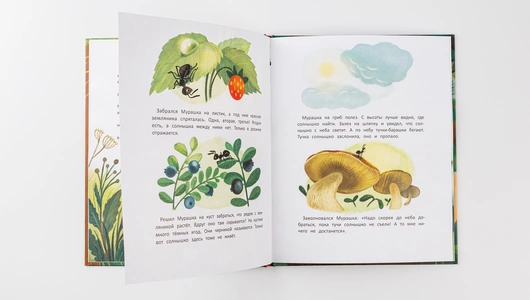 Книжка: Как муравей за солнышком ходил