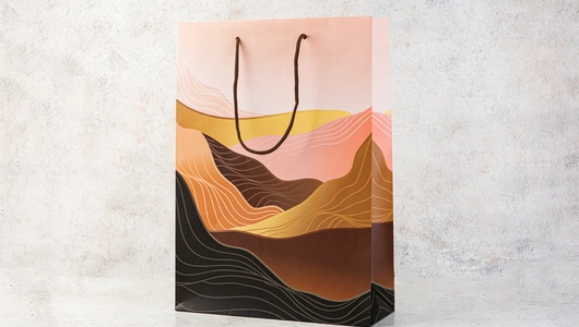 Пакет бумажный (250х350х90 мм.), в ассортименте