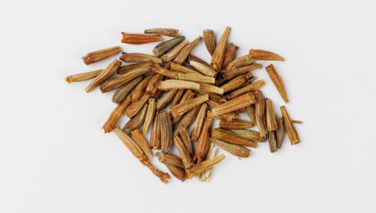 Семена Пиретрум красный "Гиганты Робинсона"_СО