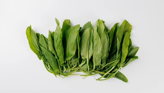 Щавель, 100г Щавель, 100г