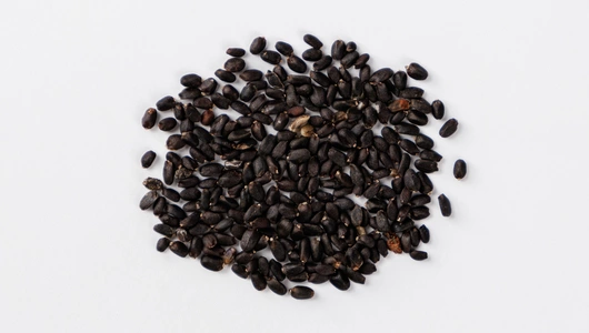 Смесь семян "Базилик зеленый и фиолетовый" 0,4 г