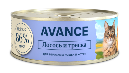 AVANCE holistic консервы Для кошек и котят с лососем и треской, Natural&Healthy Salmon&Cod, 100 г