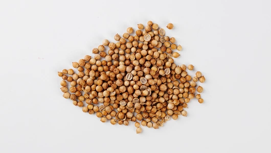 Семена Кориандр "Тайга" (А)_СО