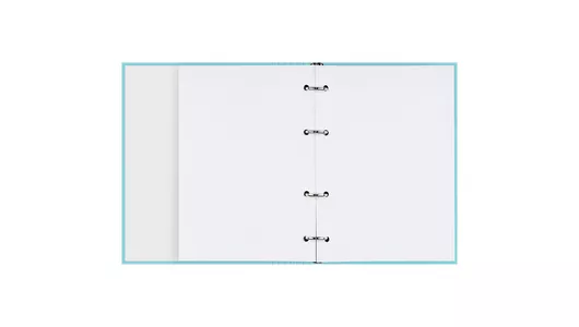 Тетрадь на кольцах BG Accent color А5 160 листов матовая ламинация
