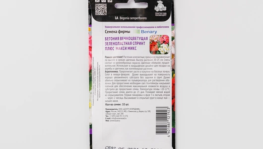Семена Бегония "вечноцветущая зеленолистная" Семена Бегония "вечноцветущая зеленолистная"