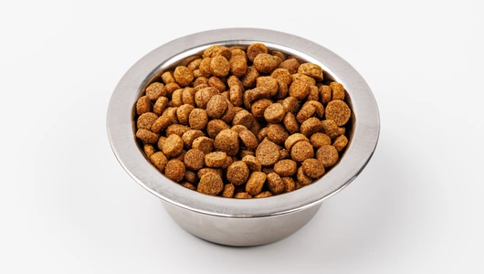 Корм сухой полнорац. для стерилизованных кошек с индейкой, курицей и свеклой Корм сухой полнорац. для стерилизованных кошек с индейкой, курицей и свеклой