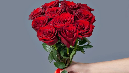 Монобукет 11 Роз Explorer под ленту