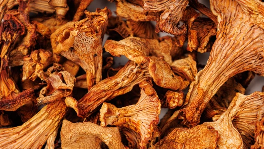 Грибы лисички сушеные, 40 г