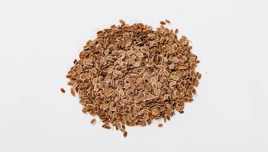 Семена Укроп "Геркулес" (А)_СО