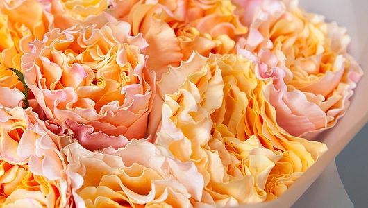 Монобукет 11 Роз "Campanella" в&nbsp;упаковке