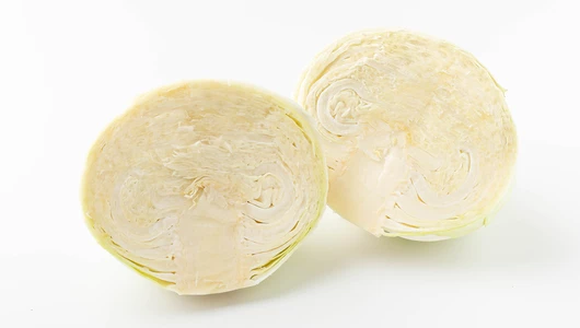 Капуста белокочанная Капуста белокочанная