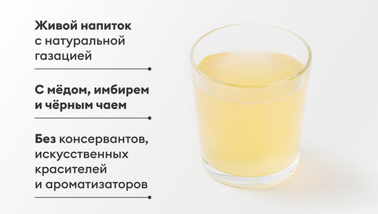 Комбуча с медом, 330 мл Комбуча с медом, 330 мл