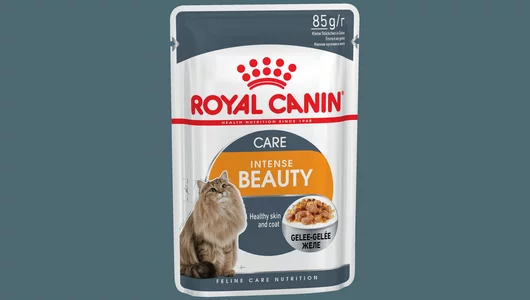 ROYAL CANIN 85гр для кошек Интенс Бьюти для красоты шерсти (желе) (пауч)