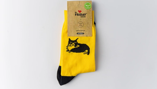 Носки "Кот средних лет", размер 38-41