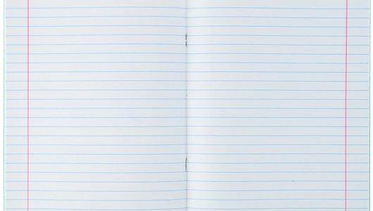 Тетрадь школьная Мировые тетради А5 18 листов в линейку зеленая (10 штук в упаковке)