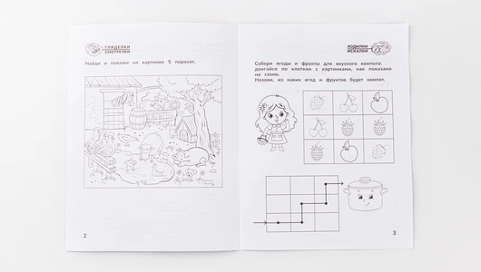 Книга "Приключения дошкольника. В деревне"