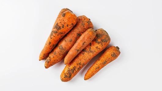 Морковь Морковь