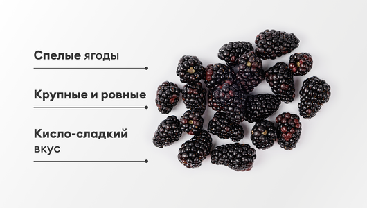 Ежевика крупная, 125 г