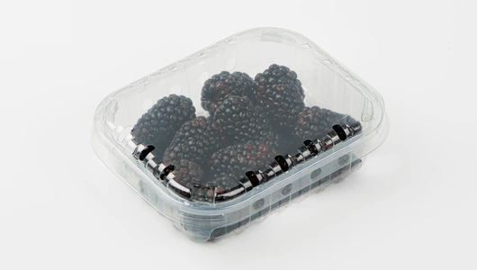 Ежевика крупная, 125 г