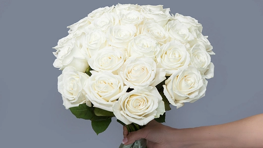 Монобукет из&nbsp;25 пионовидных эквадорских Роз "Playa Blanka" под&nbsp;ленту