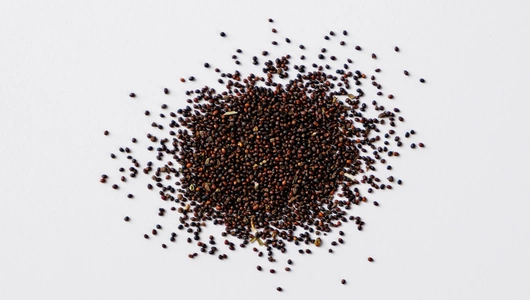 Семена "Мята овощная Ворожея"