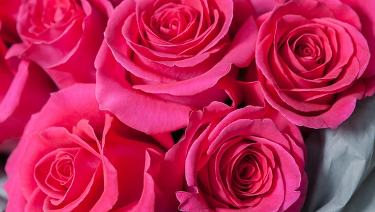 Монобукет 11 Роз Pink Floyd в крафте