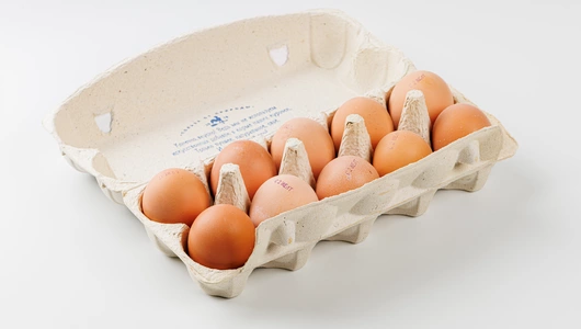 Яйцо куриное Волжанин двухжелтковое 10 шт Яйцо куриное Волжанин двухжелтковое 10 шт