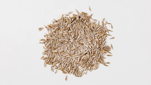 Семена "Салат Успех"