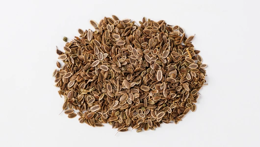 Семена "Укроп Аллигатор" 2 г Детская грядка