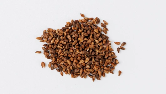 Семена Годеция крупноцветковая "Оранж Глори"_СО