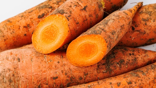 Морковь Морковь