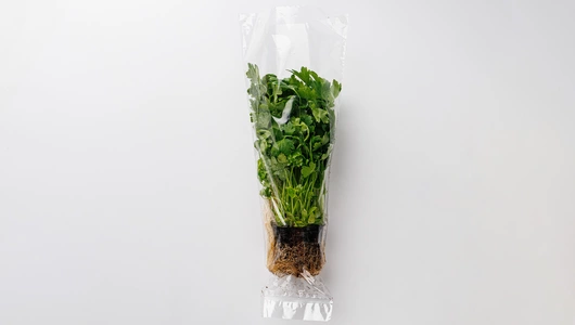 Петрушка в горшочке