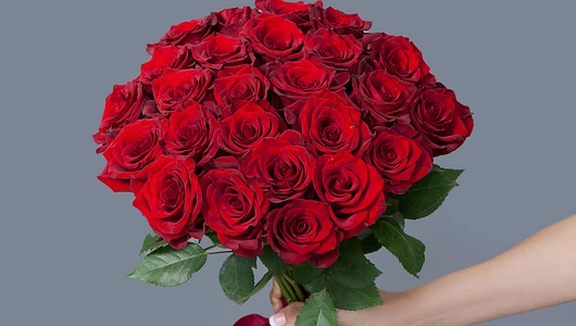 Монобукет 25 Роз «Explorer»