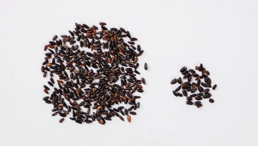 Набор семян для чая Мята и мелисса 0,23 г АСТ