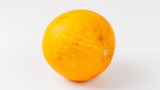 Дыня Колхозница Дыня Колхозница