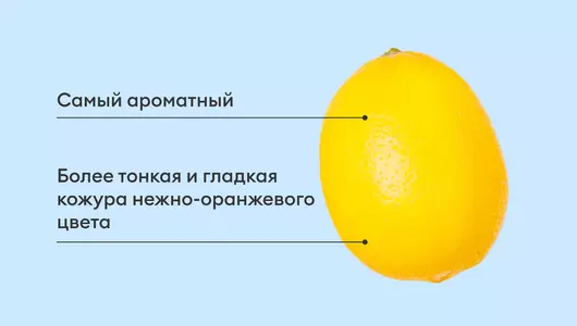 Лимоны Узбекистан, 2 шт