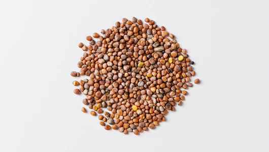 Семена "Микрозелень Редиса"