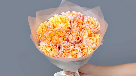 Монобукет 11 Роз "Campanella" в&nbsp;упаковке