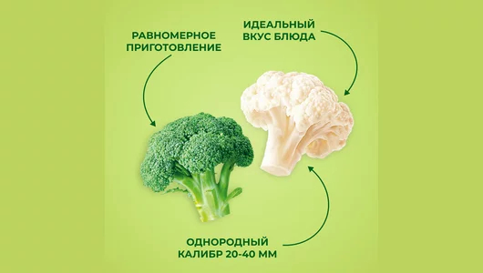 Смесь овощная Бондюэль Летний дуэт замороженная 400 г Смесь овощная Бондюэль Летний дуэт замороженная 400 г