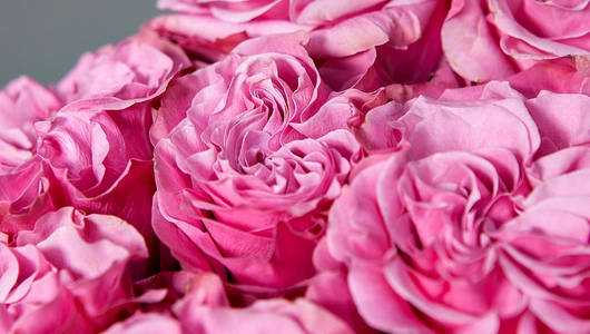 Монобукет 11 Роз "Country Blues" под&nbsp;ленту