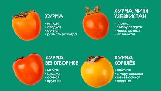 Хурма Королек Хурма Королек