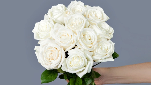 Монобукет из&nbsp;11 пионовидных эквадорских Роз "Playa Blanka" под&nbsp;ленту