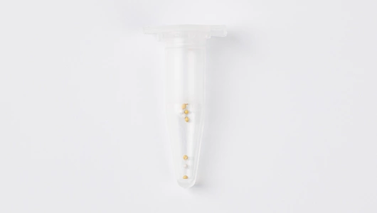 Семена Бегония "вечноцветущая зеленолистная" Семена Бегония "вечноцветущая зеленолистная"