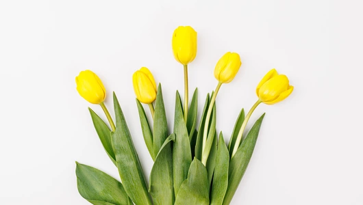 Тюльпаны букет, 5 шт