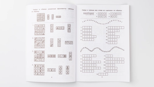 Книжка "Обучающие шифры", 6+ Книжка "Обучающие шифры", 6+