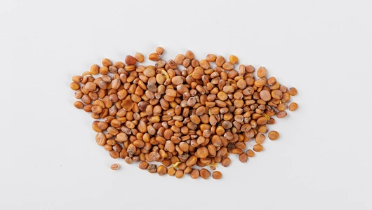 Семена Редис "Кармелита" (А)_СО