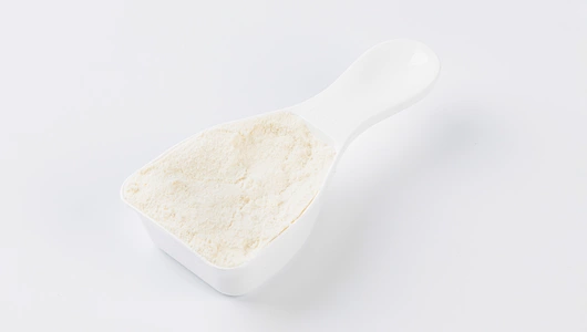 Протеин с кусочками манго, 420 г