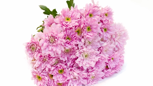 Букет из хризантем