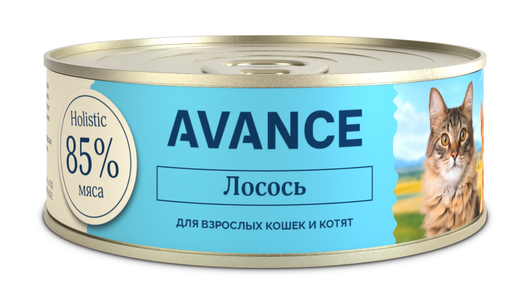 AVANCE holistic консервы Для кошек и котят с лососем, Natural&Healthy Salmon, 100 г