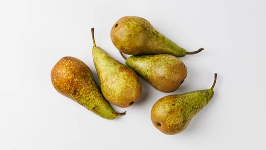 Груша Конференция